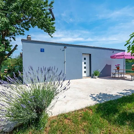 1 Bedroom Lovely In Holiday home Pula